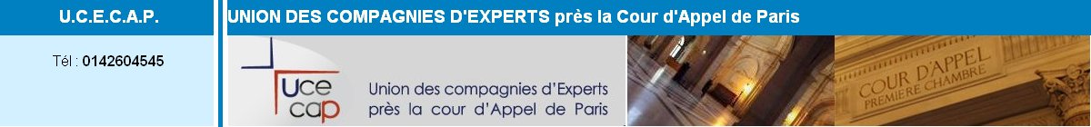 Expert, Experts, Expertise, Estimation, inventaire, Succession, partage, Conservation du patrimoine mobilier, Uion des Compagnies d'Experts prs la Cour d'Appel de Paris, Art, Arts, Antiquits, Objets d'Art, showroom expert, expertise, reseau waak world,