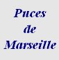 Puces de Marseille, antiquits Marseille, arts antiquits, art arts, 